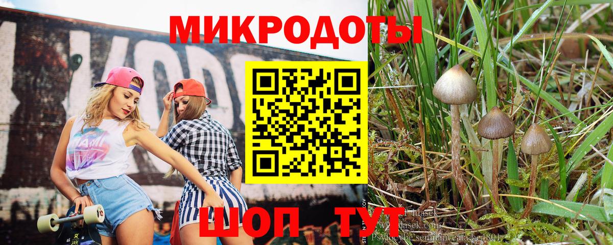Сафоново  Псилоцибиновые грибы GOLDEN TEACHER  Вход с VPN 